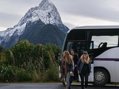 wellington tour wellington nz tour wellington new zealand tour wellington city tour wellington bus tour wellington sightseeing bus wellington tour wellington nz tour wellington new zealand tour wellington city tour wellington bus tour wellington sightseeing bus